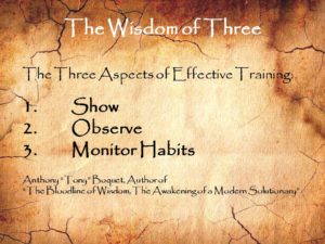 The Wisdom of Three Effective Training