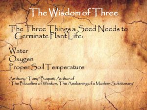 The Wisdom of Three Seed Germination