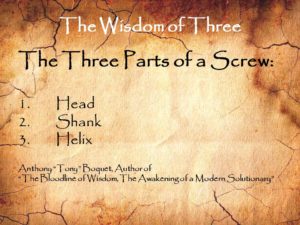 the-wisdom-of-three-the-screw