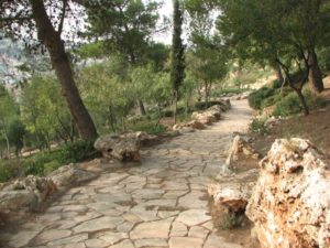 stone-path-of-jerusalem